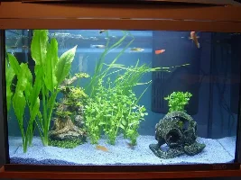 New Setup