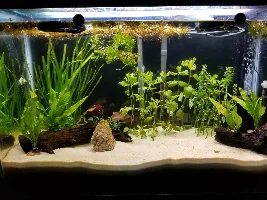 29 Gallon Upgrade