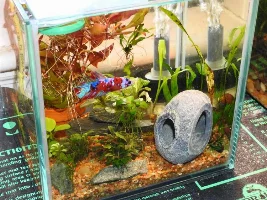 Tanks... You're Welcome! (Jonelle's Journal)