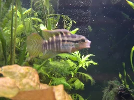 It's Fish Day!!!!