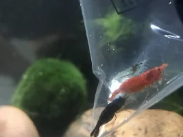 i finally re did Marvel's tank!!