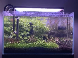 Aquascaper 600