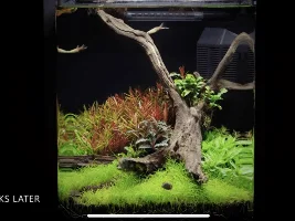 Planted aquarium floors