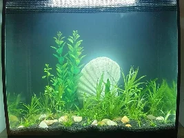 Fluval Flex Tanks and Mods