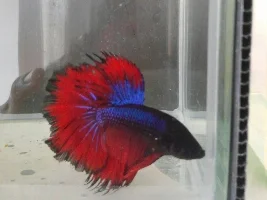 Just Sharing! :)