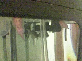 Please Id