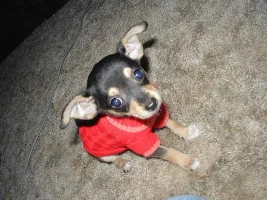 Look what I just came home with........