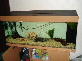 New Tank Setup