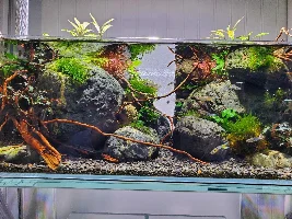 Fish Store Pictures