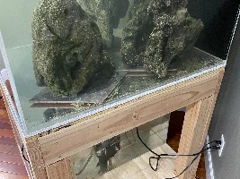 My Tank
