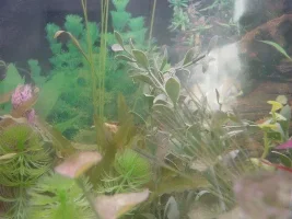 My 32 Gallon