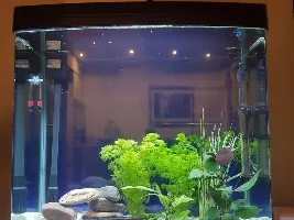 My new tank setup