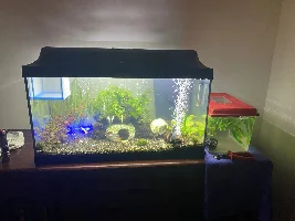 New member Introduction