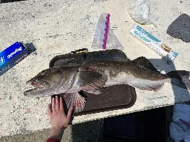 First time fishing!