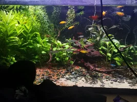 When should I have my co2 on