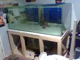 850litre tank!! 5x3x2