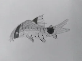 The king of cories art