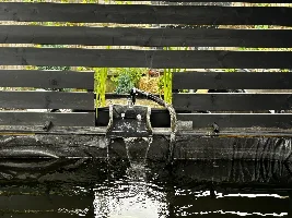 D.I.Y Pond Filter for Koi Pond