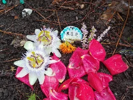 Help!