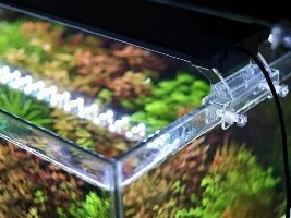 New light