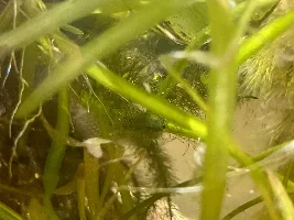 my 20g community