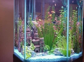 The 60 Gallon hex