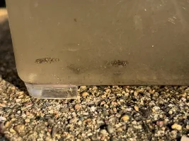First time Brackish / salt