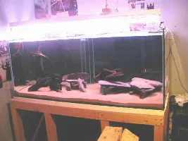 850litre tank!! 5x3x2