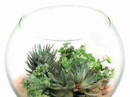 Anyone know where to find fake succulent plants for an aquarium or how to make plastic ones bought from a store safe for an aquarium?