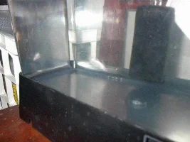 I now have 4 bettas