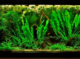 CO2 system
