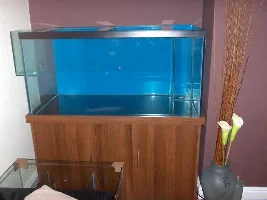 New Project