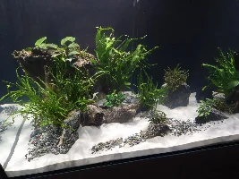 Waterbox Marine X 110.4 Freshwater build....(Previously an AIO 65.4 build...Please read on in thread)