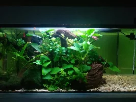 New to the forum, not to the hobby :)
