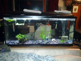 I Got My New Tank!