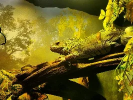 Ripley's Aquarium of Canada 2025