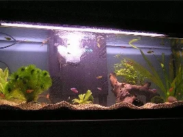 Aquarium Makeover...
