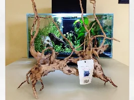 Help Reading This Ph And Loss Of Fish After Water Changes