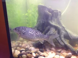 Newbie Here!