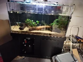 Slimmed Down Fish Room Journal