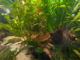 A few random pictures from the past week or so