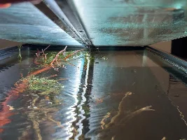 Unleveled stand/aquarium, should I be concerned?