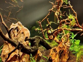 Should I bother with cycling a tank? (and other stupid questions)