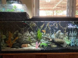 Where I’m at with my set up....