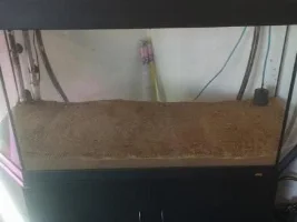 170L Community Tank