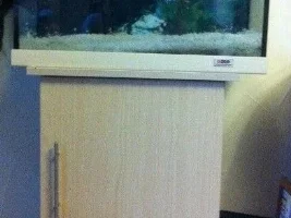 Wanted 3Ft Tank And Stand