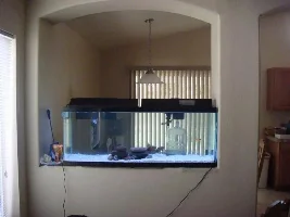 My New Simple 55gallons