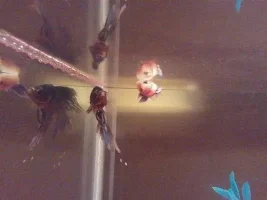 Idk What Is Going On Here!