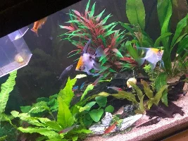 Hello everyone:) New here