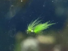 Marine Light for Tropical Plant Tank? + HEAT Concerns